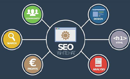 坑梓网站SEO 优化  推广